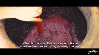 BODEGAS GRATIAS