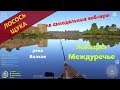 Русская рыбалка 4 - река Волхов - Щука и лосось на самодельные воблеры