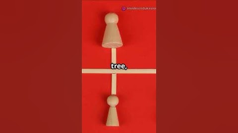 Struktur Data: Dasar Pemrograman yang Wajib Tahu!