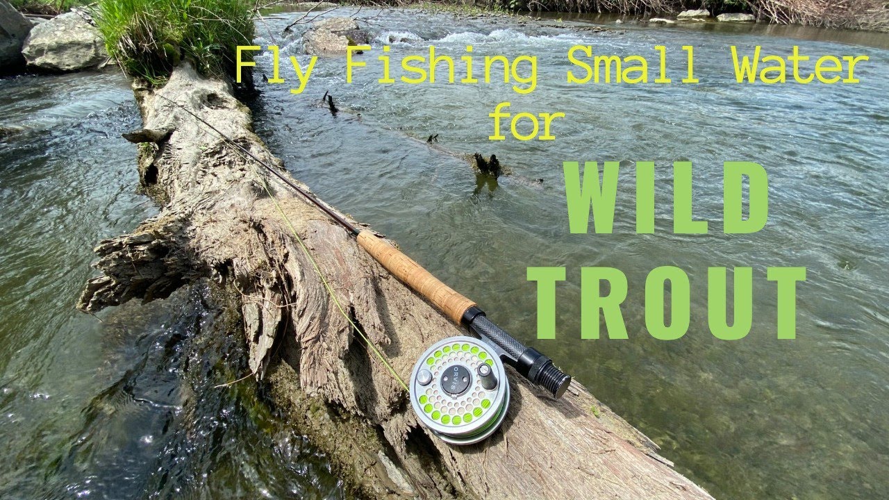 Fly Fishing Small Stream for Wild Trout YouTube