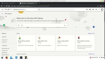 How to Add Google Maps API Key for Store Locator WordPress