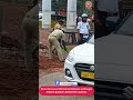 Police Personnel Fills NH 66 Potholes at Dhargal, Citizens Question Authorities' Inaction