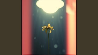 Midnight Calls to you