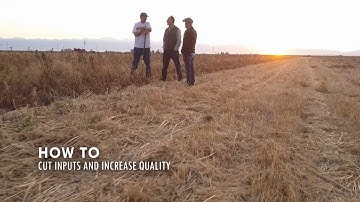 How to Cut Inputs and Increase Quality