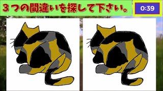 【間違い探し】猫ちゃんのおちり(=^・^=)。find 3 differences