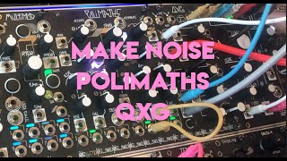 Celebrity Five Moments Exploring // Make Noise Polimaths + QXG Net Worth