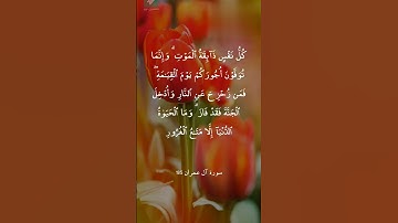 أجمل حالات واتس اب دينية💜||قرآن كريم🧡||{كل نفس ذائقة الموت}🌸||حياة القلوب🕊️||