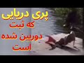 پری دریایی که ضبط دوربین شده است. شاید هنوز ندیده بودید