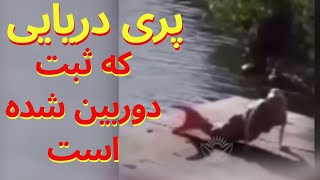 پری دریایی که ضبط دوربین شده است. شاید هنوز ندیده بودید