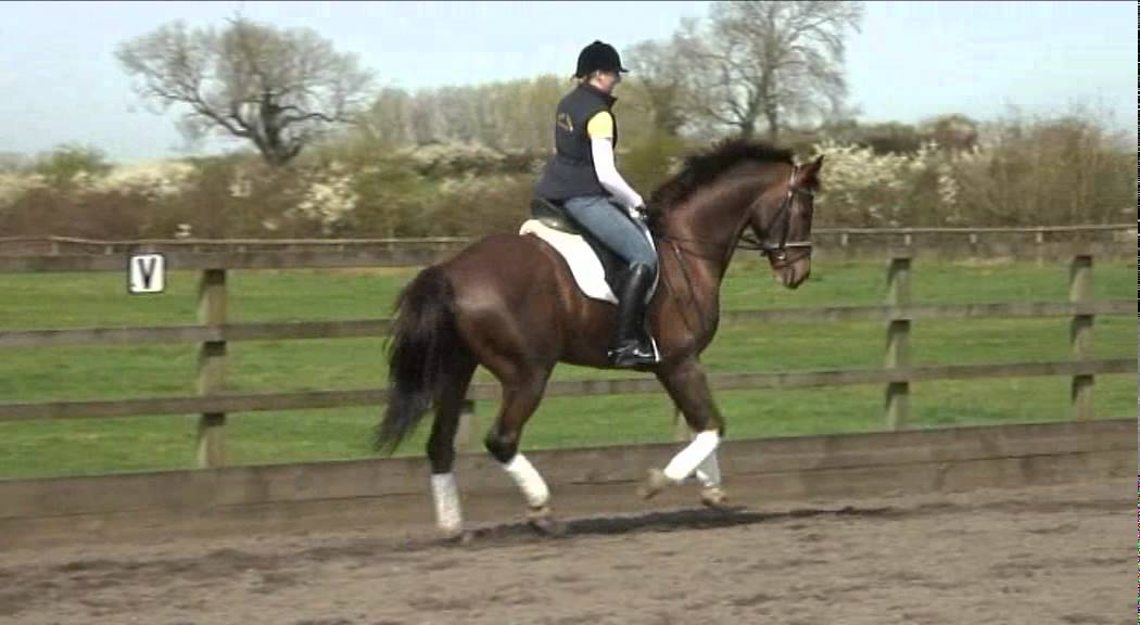 Suzie Peacock helps Amy to be better balanced in the saddle Part 2