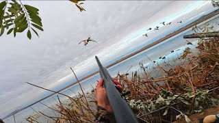 Duck Hunting LIMITS at Umatilla Wildlife Refuge | Oregon Waterfowl