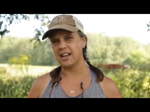 WWOOF-USA Family Farm in Alabama