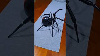 GIANT REDBACK SPIDER!!