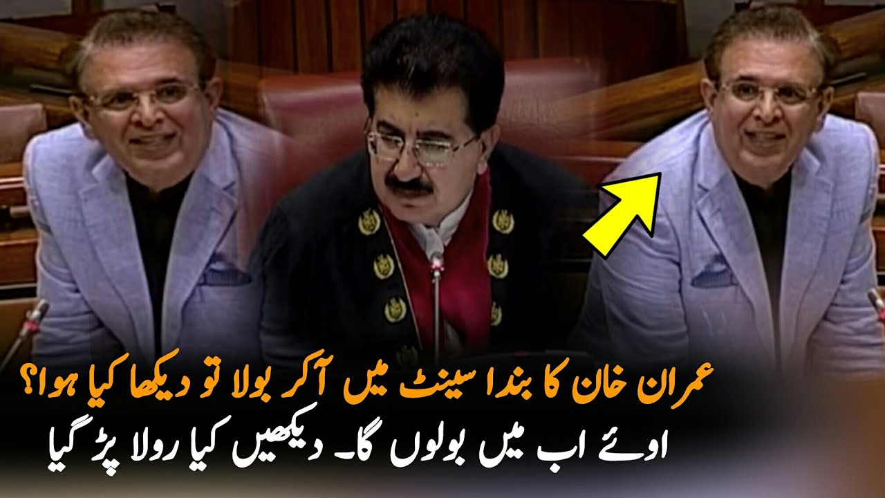 PTI Senater Reply To PDM Parties | Imran Khan | Politics | Pakistan news Live