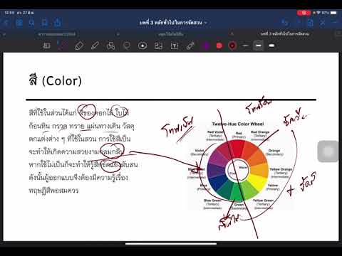 วีดีโอ: ต้นหลิวทรงกลมสำหรับการออกแบบภูมิทัศน์