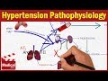 Pharmacology [CVS] 2- Hypertension Pathophysiology MADE EASY | Renin Angiotensin Aldosterone System