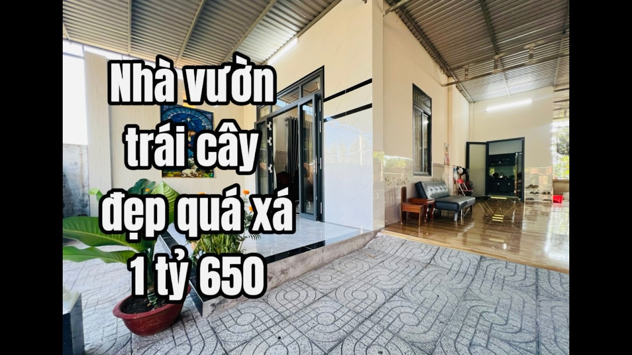 Tình cảnh éo le đành bán nhà vườn trái cây ( đã bán)