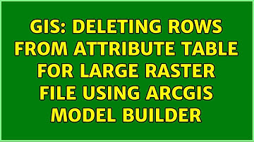 GIS: Deleting rows from attribute table for large raster file using ArcGIS model builder