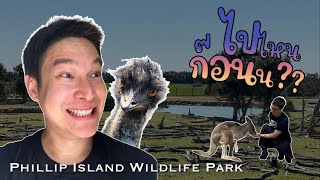 ไปไหนก่อน?? in Australia 🇦🇺 | Episode 04 (Phillip Island Wildlife Park)
