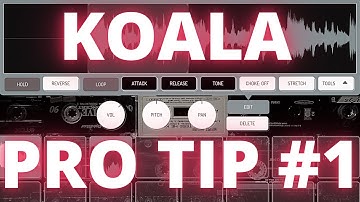 Koala Sampler Pro Tip #1 – Record Performance Effects