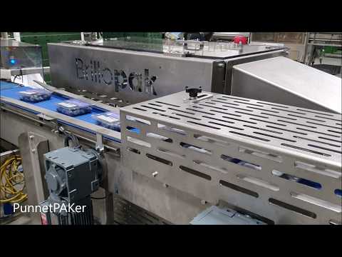 Automated punnet packer placing punnets at high speed into crates or trays