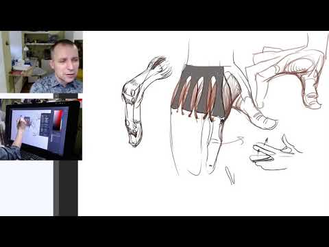 Мышцы рук. Часть 2. / Видеокурс /Пластическая анатомия - А. Рыжкин