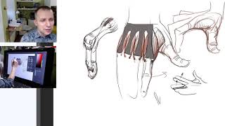 Мышцы рук. Часть 2. / Видеокурс /Пластическая анатомия - А. Рыжкин