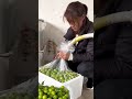 Vacuum-Sealing Fresh Plums for Long-Term Storage! 🍑📦