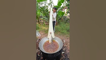 Câu Chuyện Rán Cá #batanvlog