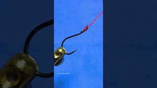 Tutorial on How to Tie a Fishing Hook #shorts #fishing #tutorial