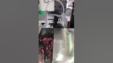 Automatic  ferrule terminal crimping  machine video