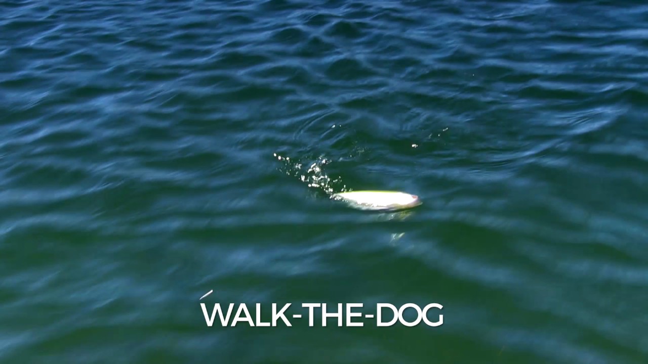 Swimming Action: Storm Arashi TopWalker