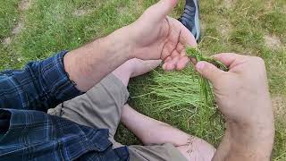 Making Cordage from String and field resources