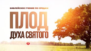 ШКОЛА ВЕРЫ | 29.05.2024 (КРОТОСТЬ И ВОЗДЕРЖАНИЕ)