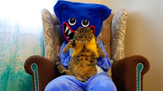 Huggy Wuggy Poppy play time vs cat-3 Challenges by Rory the Cat 235,567 views 1 year ago 3 minutes, 45 seconds