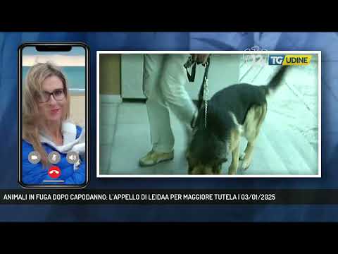 ANIMALI IN FUGA DOPO CAPODANNO: L’APPELLO DI LEIDAA PER MAGGIORE TUTELA | 03/01/2025