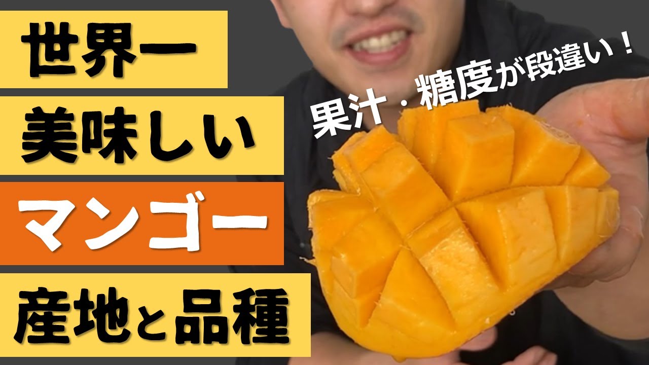 意外と知らない！？世界一美味しいマンゴーの産地と品種【美味しい