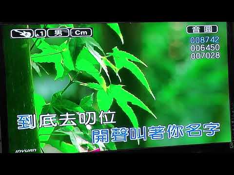 水水一淡水河邊