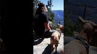 Big Bear Forest Trip (Feat. My Cousin, Big Tim Dopp)