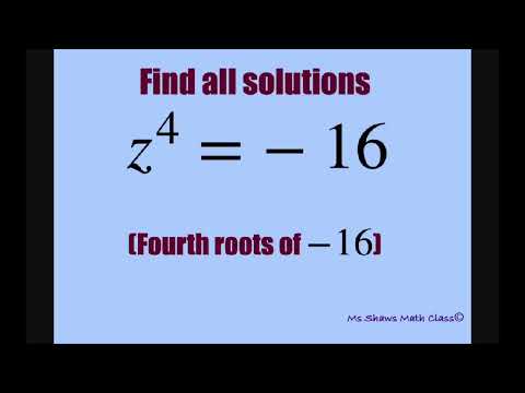 Find all solutions