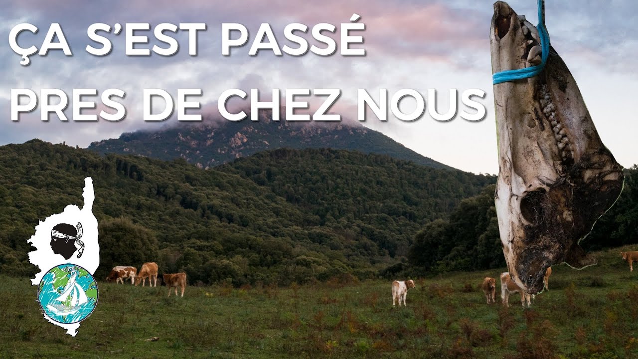 ON DECOUVRE DES CHEMINS PRES DE CHEZ NOUS
