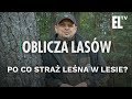 Po co Straż Leśna w lesie | Oblicza lasów #62