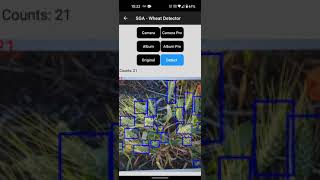 Wheat Head Mobile Application Demo (Draft) screenshot 1