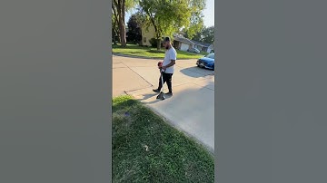 ECHO EDGER | #shorts #lawn #lawncare