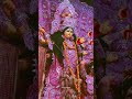 #jay #mata #rani #durgapuja #trending #bhaktisong @PawanSinghOfficial009 @soniyadevifilms