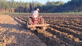 Agrale no Aleirador de Disco ! Fazendo vergas para mandioca e batata !! by Rancho Leguminoso 2,656 views 1 year ago 2 minutes, 48 seconds