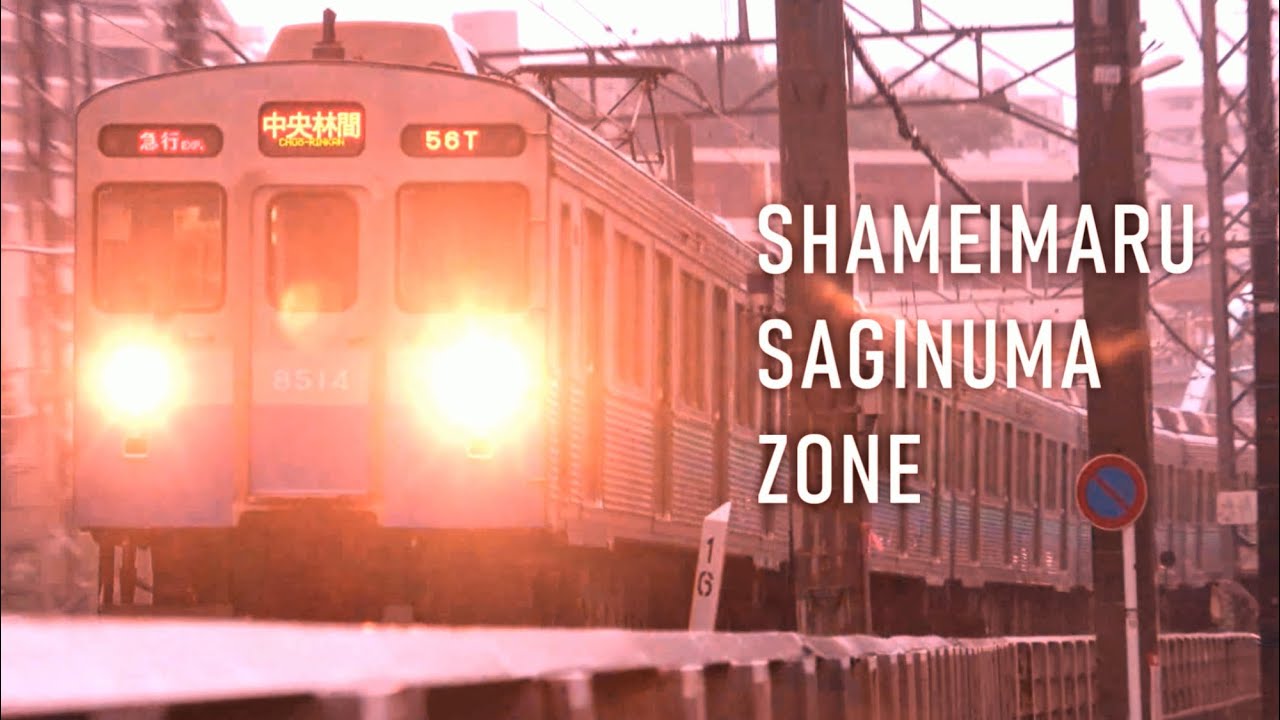 SHAMEIMARU SAGINUMA ZONE