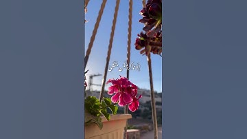 ( طه ما أنزلنا عليك القرآن لتشقى إلا تذكرة لمن يخشى ) | #سورة_طه |#قران_كريم #تلاوة_خاشعة