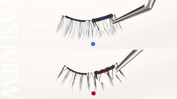 LashView Soft Magnetic Lashes 🌿 How to properly place lashes on the applicator?