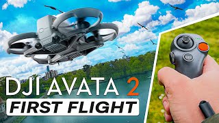 DJI Avata 2 | FIRST FLIGHT | Flock of Birds Attacked My Drone  [4K]